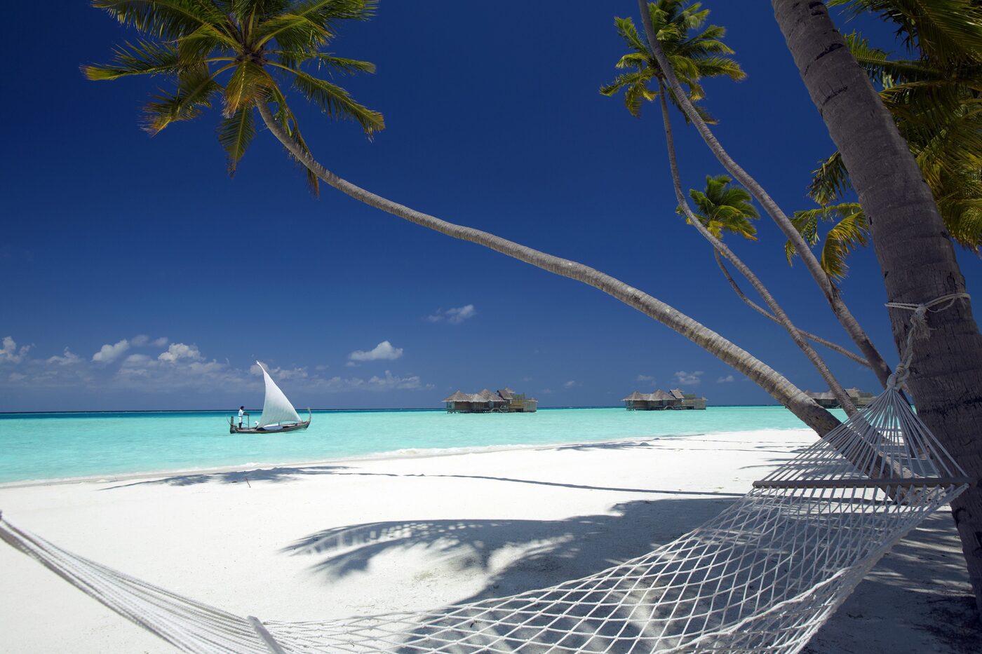 Palm-fringed beach at Gili Lankanfushi, Maldives