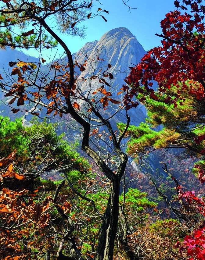 Autumn foliage and rocky peaks at Bukhansan National Park in Seoul