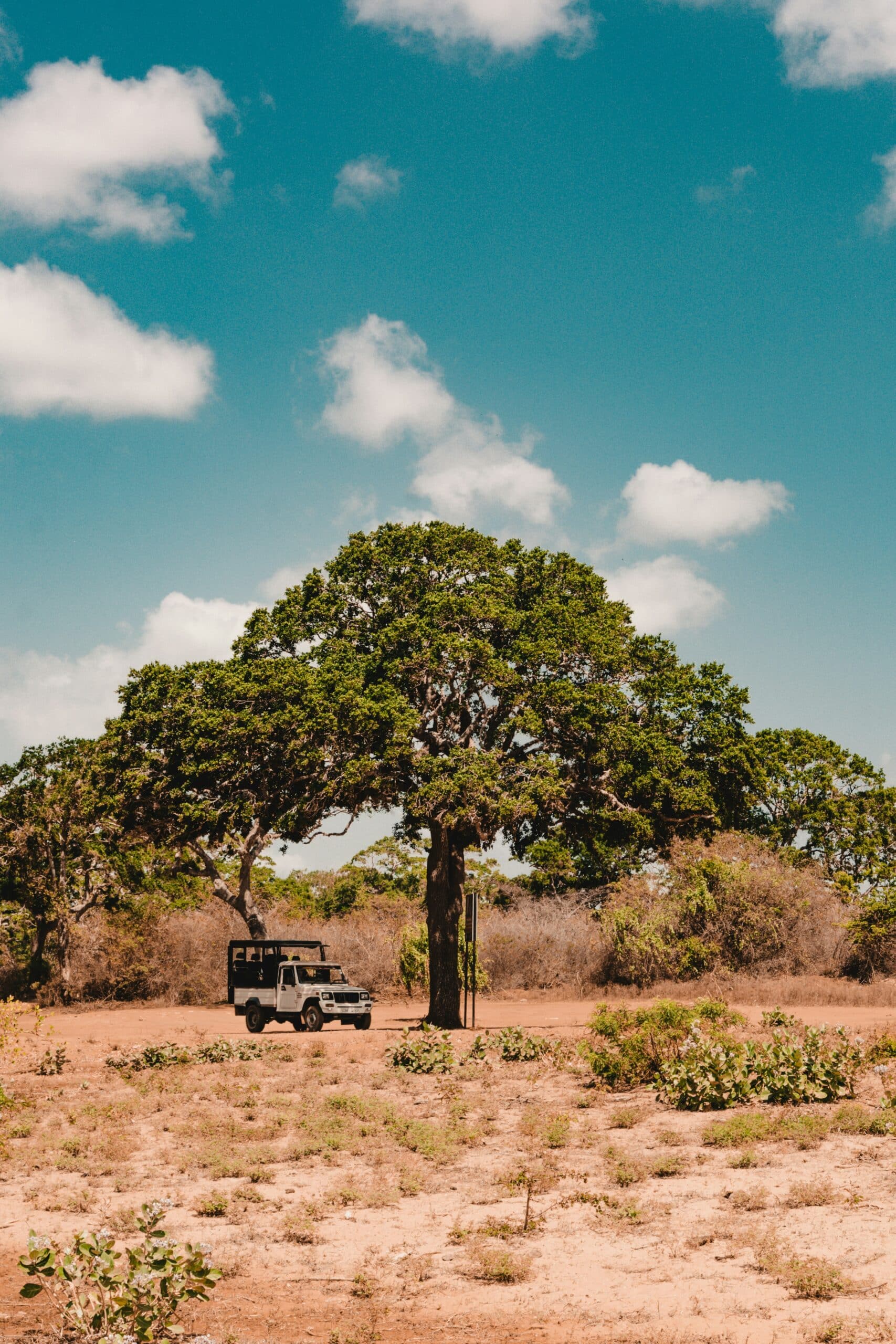 YALA NATIONAL PARK - On Safari