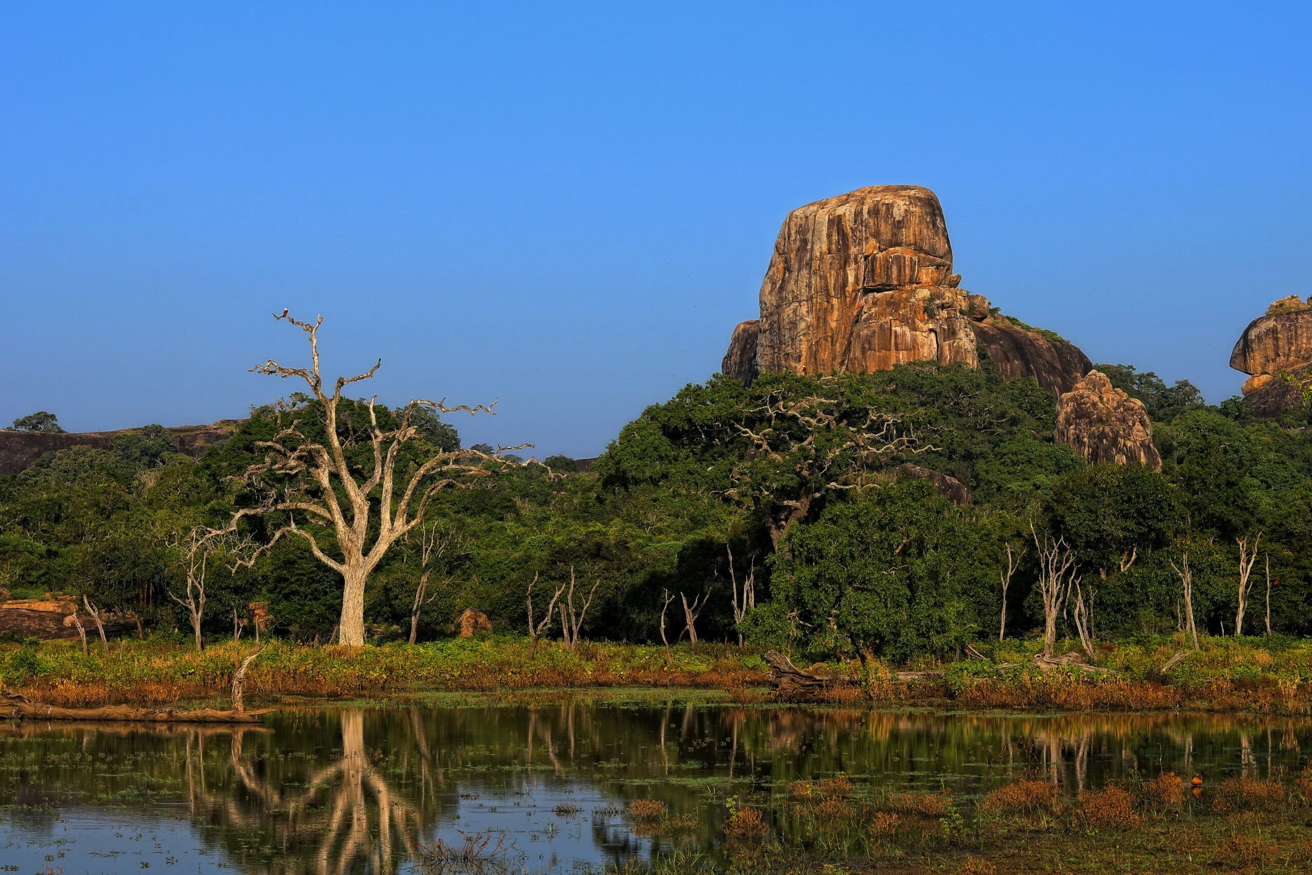 YALA NATIONAL PARK - On Safari 3