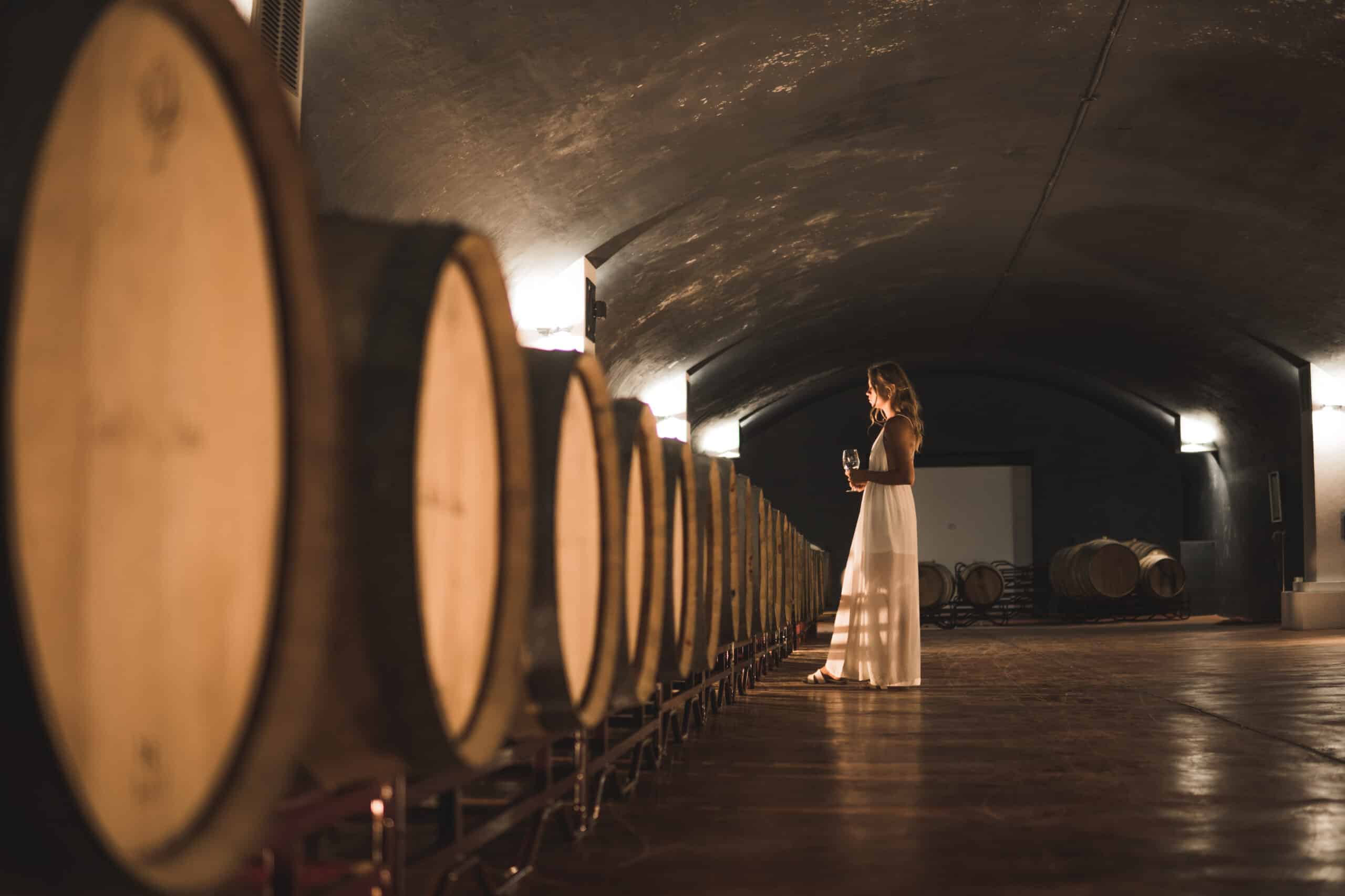 Wines... Made in Portugal