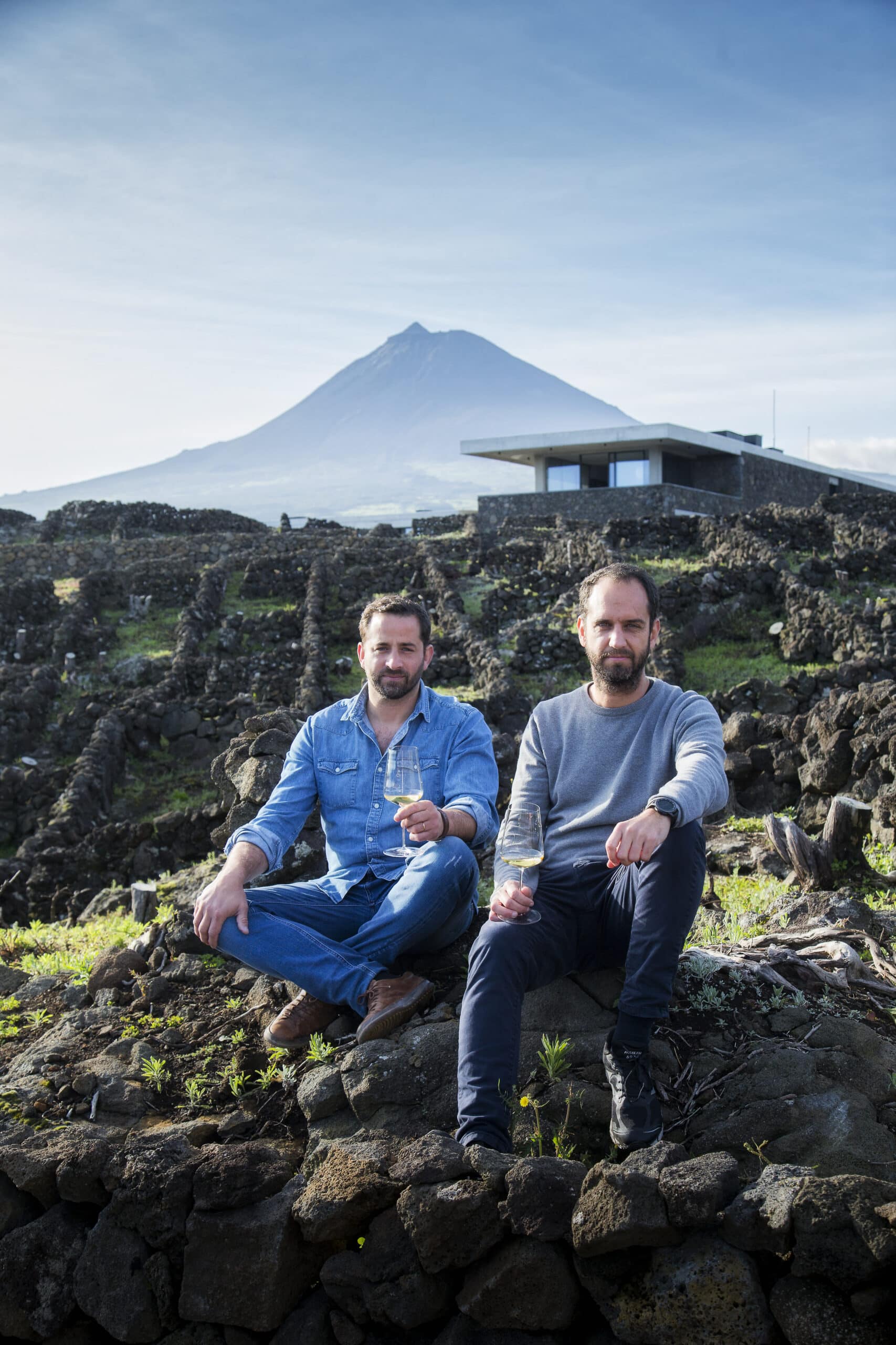 Azores Wine Company