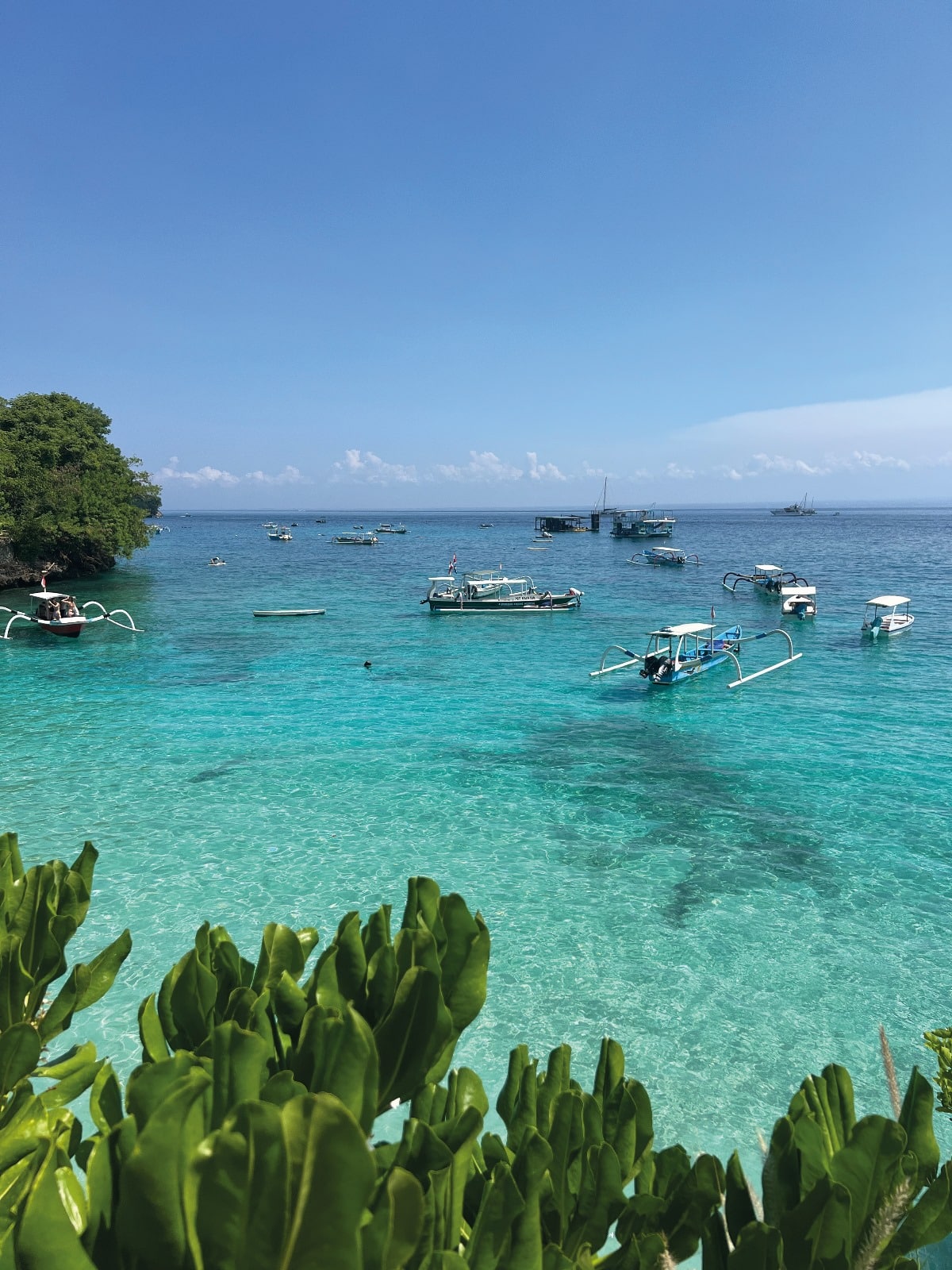 The best spot in Sanur that parents AND kids love is Byrdhouse.