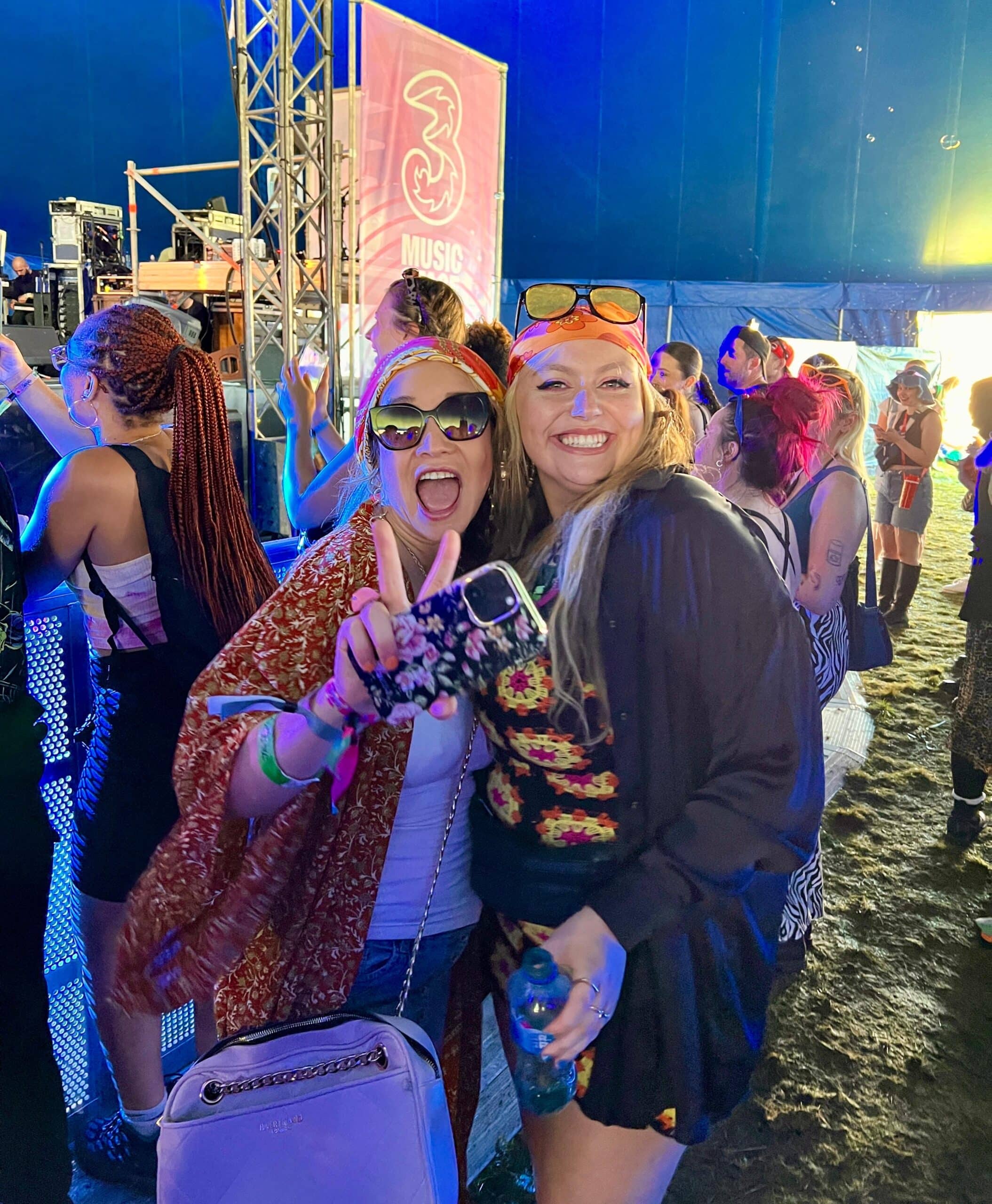 Electric Picnic in Stradbally